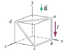 1440_force magnitude.png